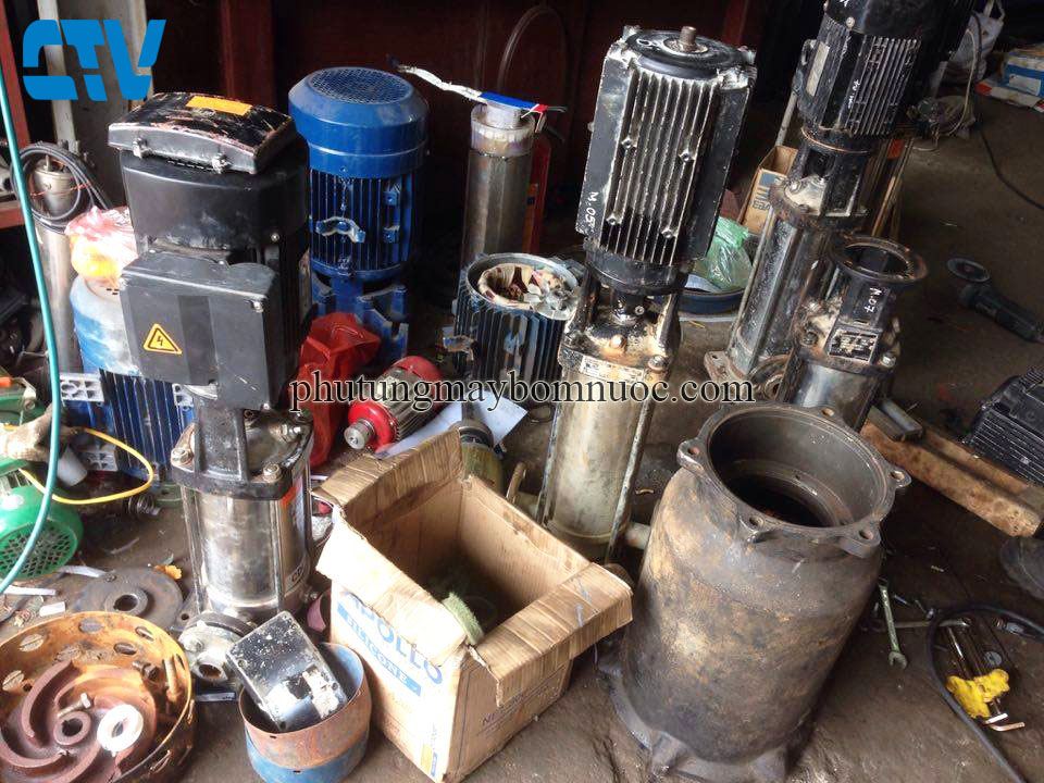 Cho Thuê Máy Bơm Trục Đứng Chính Hãng