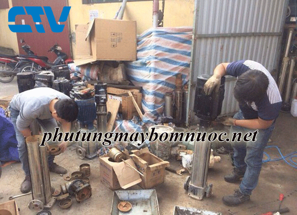 Khắc phục các sự cố máy bơm trục đứng