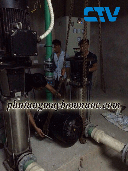 Đơn vị cho thuê máy bơm trục đứng công suất lớn