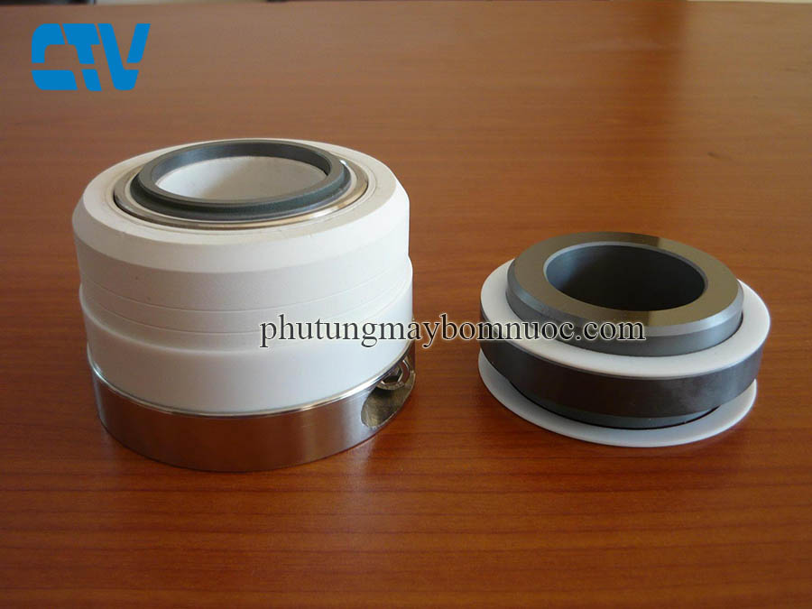 Phớt máy bơm hóa chất 10R 10T