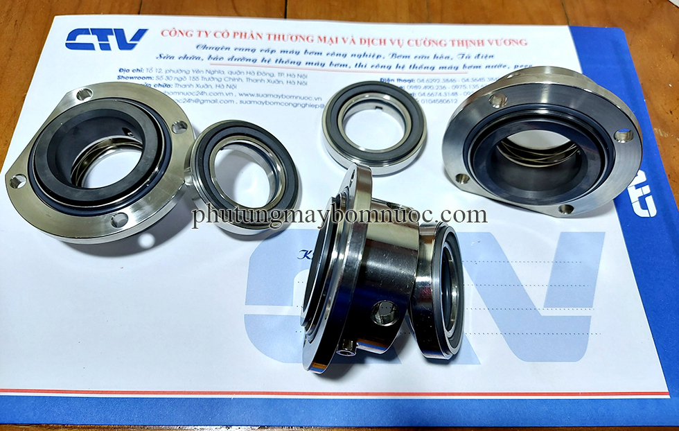 Phớt máy bơm thực phẩm bơm Lobe