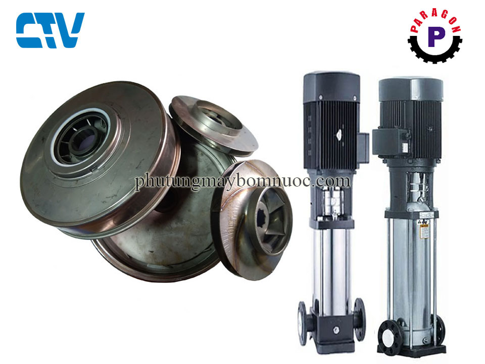 Ruột buồng máy bơm ly tâm trục đứng Paragon PV16-50