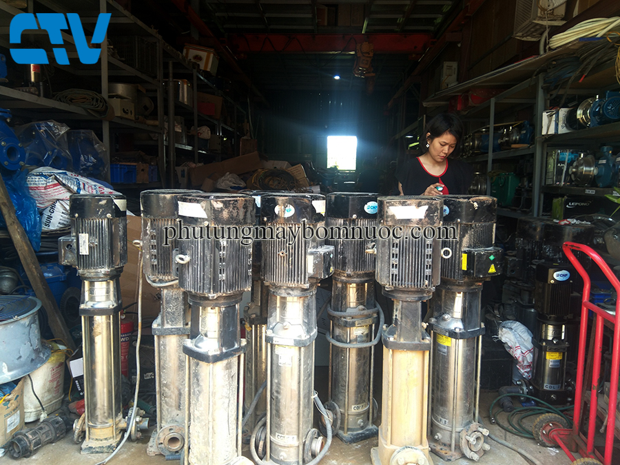 Bảo dưỡng máy bơm trục đứng CNP uy tín, nhanh chóng tại Cường Thịnh Vương