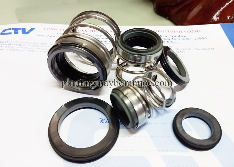 Phớt bơm Pentax (Phớt cao) type phớt BIA-28