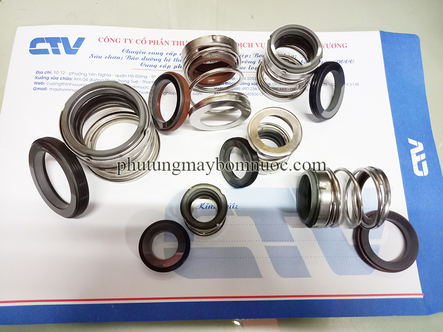 Phớt bơm Ebara (Phớt cao) type phớt BIA-10