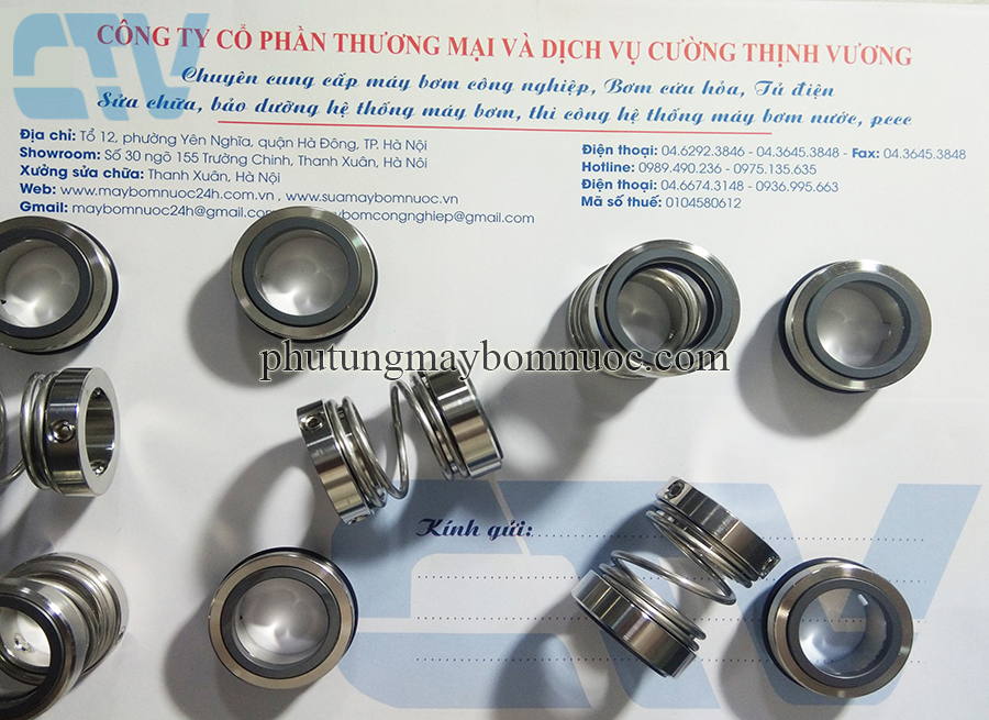 Phớt bơm hóa chất Model phớt CTV/1527-18
