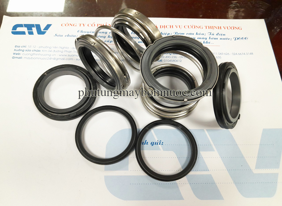 Phớt cơ khí máy bơm chìm Ebara 80 DML