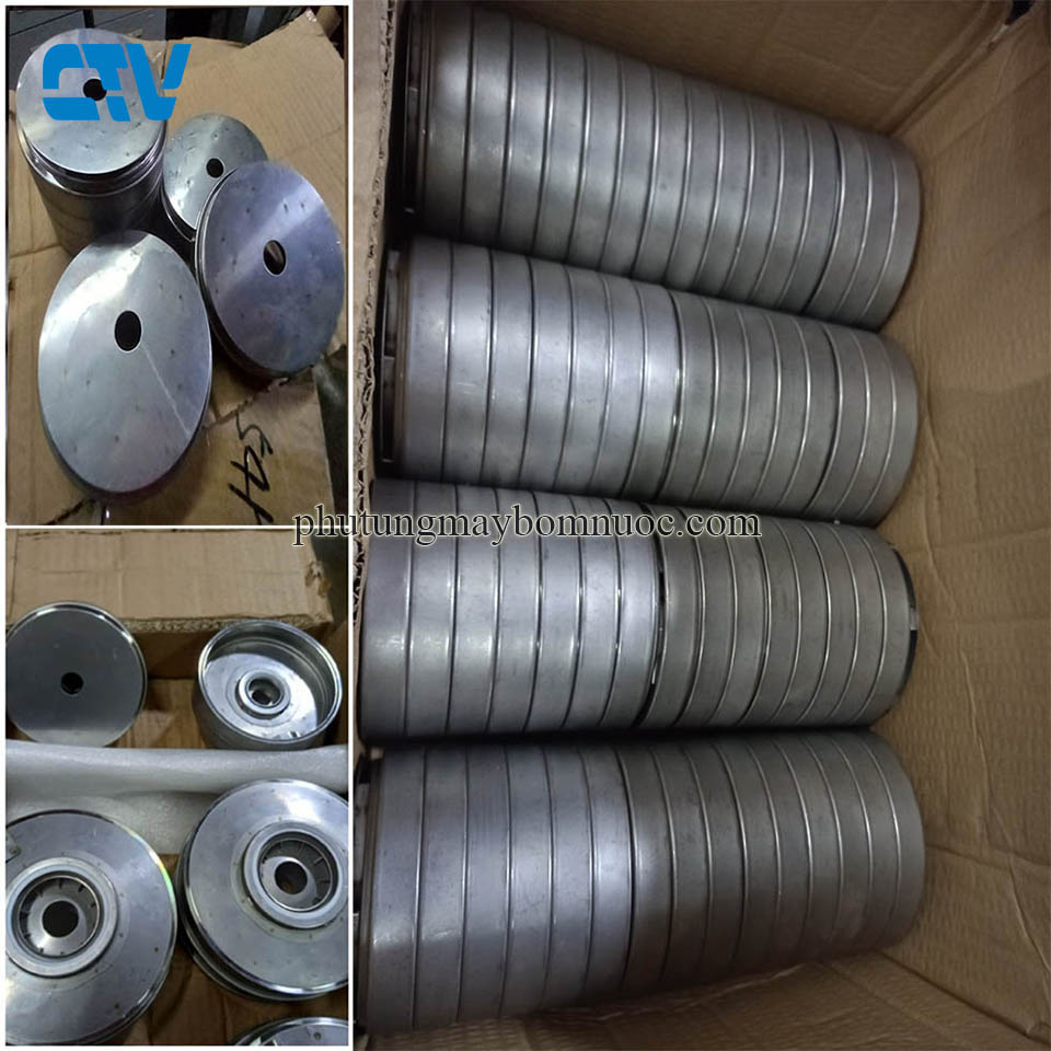 Ruột buồng máy bơm ly tâm trục đứng Paragon PV4-220